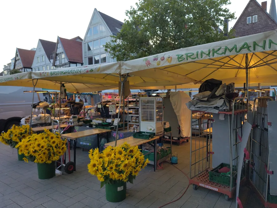 Der Bio-Stand Brinkmann mit Sonnenblumen am Morgen